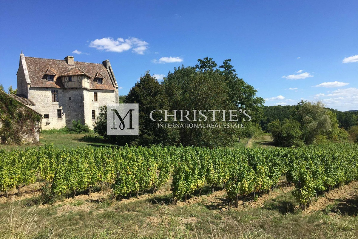 Superbly renovated C14th historic Chateau + Vineyard nr Bergerac